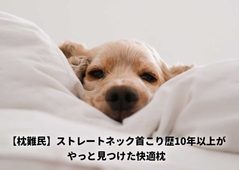 【枕難民】ストレートネック首こり歴10年以上がやっと見つけた快適枕