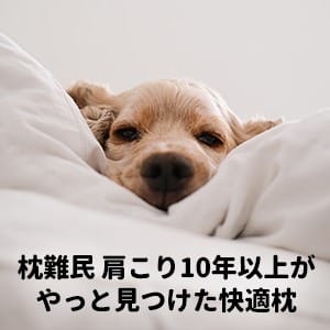 【枕難民】ストレートネック首こり歴10年以上がやっと見つけた快適枕