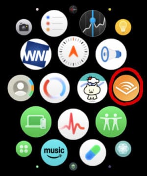 Watch側のAudibleアプリ